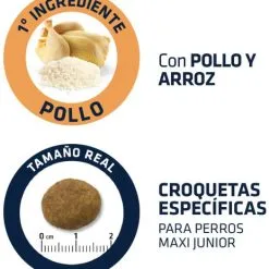 Advance Maxi Junior Poulet Et Riz -Nourriture pour chien Soldes 70 4 4 g