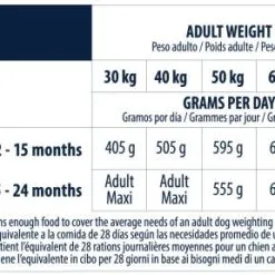 Advance Maxi Junior Poulet Et Riz -Nourriture pour chien Soldes 70 6 6 g