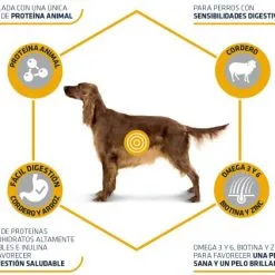 Advance Tourteau Lamb & Rice Agneau Et Riz Adult 13 Advance Tourteau Lamb & Rice Agneau Et Riz Adult -Nourriture pour chien Soldes 75 3 4 g