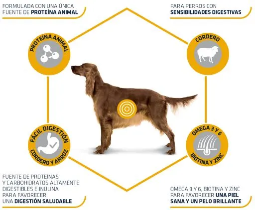 Advance Tourteau Lamb & Rice Agneau Et Riz Adult 6 Advance Tourteau Lamb & Rice Agneau Et Riz Adult – Image 4