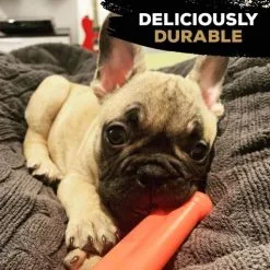 Nylabone Extreme Chew Value Pack S (Peanut/Original/Bacon) -Nourriture pour chien Soldes 81jkTWZrEAL 647777c157f16 g