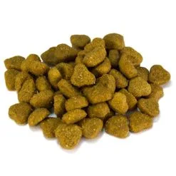 Arquivet Adult Agneau Et Riz -Nourriture pour chien Soldes 8435117810105 2 g