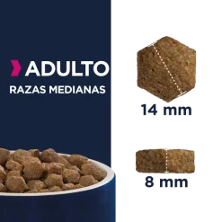 Eukanuba Adult Maintenance Races Moyennes Avec Poulet -Nourriture pour chien Soldes 8710255119786 637f6197da16a g