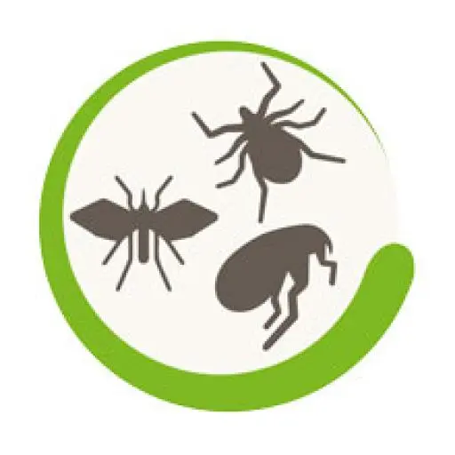 Beaphar Pipettes Antiparasitaires Race De Grande Taille > 30 Kg 6 Beaphar Pipettes Antiparasitaires Race De Grande Taille > 30 Kg – Image 4