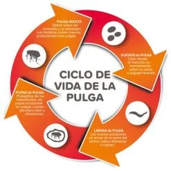 Fiprotec Spray Antiparasitaire Pour Chiens Et Chats -Nourriture pour chien Soldes 8711231154081 2 64a6c495da565 g