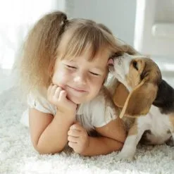 Fiprotec Spray Antiparasitaire Pour Chiens Et Chats -Nourriture pour chien Soldes 8711231154081 2 g