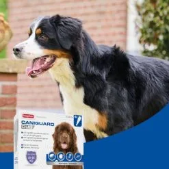 Beaphar Caniguard Duo Chien -Nourriture pour chien Soldes 8711231170463 4 64a6c5d4a6b4f g