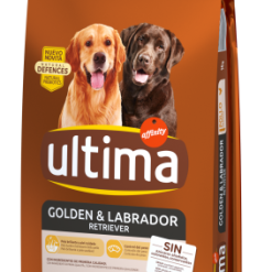 Ultima Tourteau Golden Et Labrador