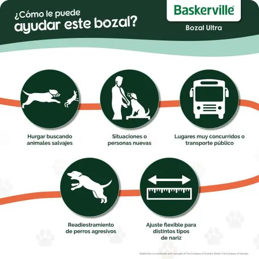 The Company Of Animals Baskerville Ultra Muzzle 7 The Company Of Animals Baskerville Ultra Muzzle – Image 6