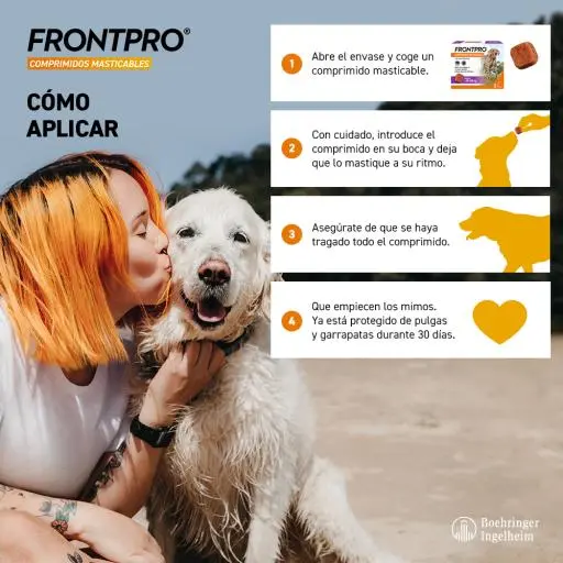 Frontpro Chiens 4-10kg Chew M 3 Comprimés À Croquer 13 Frontpro Chiens 4-10kg Chew M 3 Comprimés À Croquer – Image 11