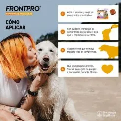 Frontpro Chiens 10-25kg Chew L 3 Comprimés À Croquer -Nourriture pour chien Soldes Frontpro Modo Uso 63bd357f26096 g