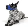 KVP Museau Doux -Nourriture pour chien Soldes KVP0420 KVP0421 KVP0422 KVP0423 KVP0424 KVP0430 637e2d0bca930 g