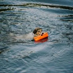 Julius K9 Harnais De Sécurité Multifonctionnel Pour Chiens -Nourriture pour chien Soldes Motivador Multidummy Multifuncion 6478ac1b19b37 g