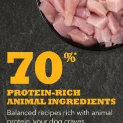 Acana Puppy And Junior 10 Acana Puppy And Junior -Nourriture pour chien Soldes NS ACANA Dog Ingredients PUPPY 556x800 630f03e7bdb5b g