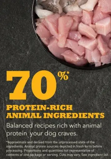 Acana Puppy And Junior 6 Acana Puppy And Junior – Image 4