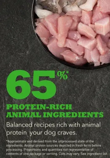 Acana Senior All Breeds 6 Acana Senior All Breeds – Image 4