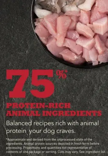 Acana Sport & Agility 6 Acana Sport & Agility – Image 4