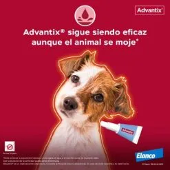 Advantix Pipettes Race De Petite Taille 4-10 Kg -Nourriture pour chien Soldes Pipetas para Perro de Raza Toy 63ea6f277d37c g