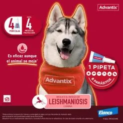 Advantix Pipettes Race Toy 1,5-4 Kg -Nourriture pour chien Soldes Pipetas para Perro de Raza Toy advantix 63ea6b36e22ba g