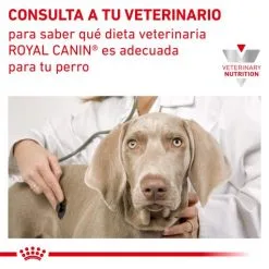 Royal Canin Nourriture Satiety Small Dog -Nourriture pour chien Soldes RC VET DRY DogSatietyWMSD CV Eretailkit 9 es ES 62fcdf1803acc g