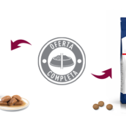 Royal Canin Maxi Adult Dog Food Pour Adultes Taille Grandes Races -Nourriture pour chien Soldes SHN Maxi Adult 644002907e7c8 g