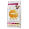 IAMS Nourriture Senior & Mature Pro Active Riche En Poulet -Nourriture pour chien Soldes T90002995 192614 6447c000b9a8c g