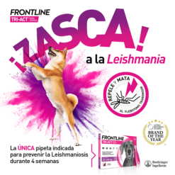 Frontline Pipettes Tri Act Petite Race 5-10 Kg -Nourriture pour chien Soldes VisualTRI 6267f62e72c9d g