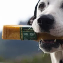 Wild Balance Teether Du Lait Naturel Dans L'Himalaya Avec Curcuma Pour Chiens 18 Wild Balance Teether Du Lait Naturel Dans L'Himalaya Avec Curcuma Pour Chiens -Nourriture pour chien Soldes Wild Yaky Golden Curcuma barrita leche yak himalaya curcuma 3 620cf10a28393 g