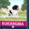 Eukanuba Adult Maintenance Races Moyennes Avec Poulet 1 Eukanuba Adult Maintenance Races Moyennes Avec Poulet -Nourriture pour chien Soldes adulto mantenimiento razas medianas 1 g