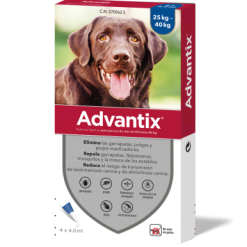 Advantix Pipettes Race De Grande Taille >25 Kg