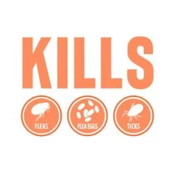 TropiClean Spray Anti-puces Et Anti-tiques Pour Animaux De Compagnie -Nourriture pour chien Soldes bcp7coxiep4qeg7cnbx6 6363d761469bb g