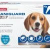Beaphar Pipettes Duo Caniguard Pour Chiens De 10-20 Kg -Nourriture pour chien Soldes caniguard duo perro mediano 62bae3cd927f8 g
