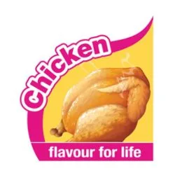 Nylabone Extreme Chew Big Beef Bone Xxl -Nourriture pour chien Soldes chicken flavour 642d3c988811a g