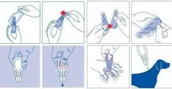 Virbac Effipro Duo Spot On Antiparasitaire Pour Chiens De 10 à 20 Kg -Nourriture pour chien Soldes effipro duo spot on antiparasitario para perros de 2 a 10 kg 3 g
