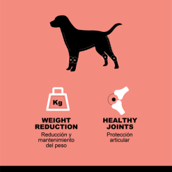 Hantu Adult Diet Dinde -Nourriture pour chien Soldes hantu perro adulto pavo 2info 622b3036a5634 g