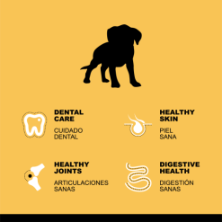 Hantu Puppy Poulet & Riz -Nourriture pour chien Soldes hantu perro puppy pollo 2info 622b311c35b69 g