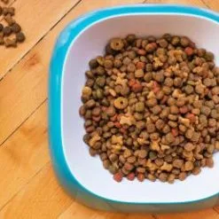 Primordial Fourrage Pour Chien Adult Buffle Et Maquereau -Nourriture pour chien Soldes ingredienti sfondo 4 2bb074ee 62cff4babcb77 g