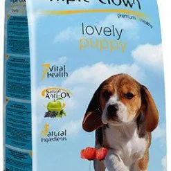 Triple Crown Lovely Puppy