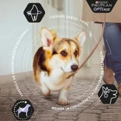 Pro Plan Optiage Small & Mini Adult 9+ Au Poulet -Nourriture pour chien Soldes optiage adult 9 de pollo small mini 2 g 1