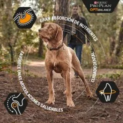 Pro Plan Optibalance Duo Délice Adulte Chicken Medium/Large -Nourriture pour chien Soldes optibalance duo delice adult de pollo medium large 2 g