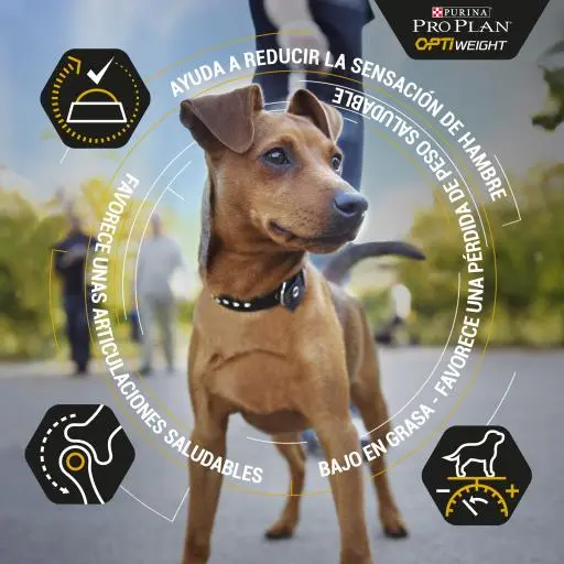 Pro Plan Optiweight All Size Adult Light & Sterilised Au Poulet 10 Pro Plan Optiweight All Size Adult Light & Sterilised Au Poulet – Image 8