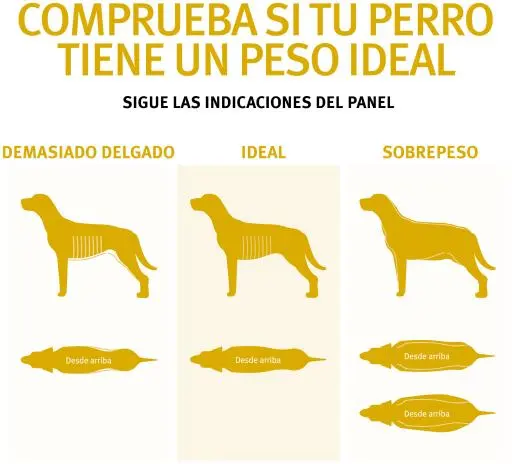 Pro Plan Optiweight All Size Adult Light & Sterilised Au Poulet 12 Pro Plan Optiweight All Size Adult Light & Sterilised Au Poulet – Image 10