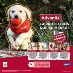 Advantix Pipettes Race De Petite Taille 4-10 Kg -Nourriture pour chien Soldes pipetas advantix 63ea6f283fe0d g