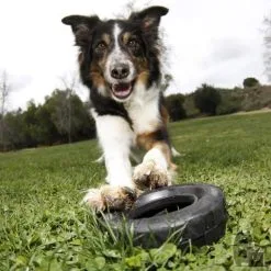 KONG Roue Traxx -Nourriture pour chien Soldes pneu 3 800x800 6255bd98e847d g