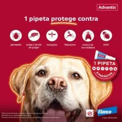 Advantix Pipettes Race De Taille Moyenne 10-25 Kg -Nourriture pour chien Soldes proteccion pipeta advantix 63ea6c3dc7cb9 g