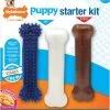 Nylabone Puppy Starter Kit S Puppy/Extreme/Dental -Nourriture pour chien Soldes puppy starter kit de nylabone 6422ff24ce882 g