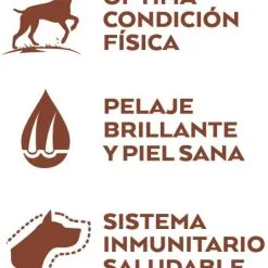 Nature's Variety High Meat Medium/Maxi Saumon Sans Épine Avec Thon -Nourriture pour chien Soldes selected medium adult grain free salmon 4 g