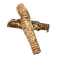 Traveness Trachée De Bœuf 2 Pièces