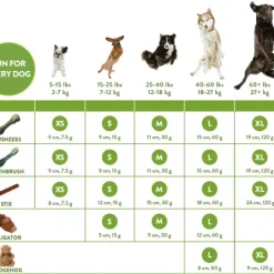 Whimzees Snack Dentaire Pour Chien 11.7cm En Forme De Crocodile -Nourriture pour chien Soldes whimzees feeding guidelines CDN E 2018 900x 62881a8c91c4e g