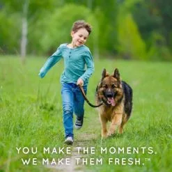 TropiClean Spray Anti-puces Et Anti-tiques Pour Animaux De Compagnie -Nourriture pour chien Soldes wrsyshxpninzxyr9tmzy 6363d766abed2 g